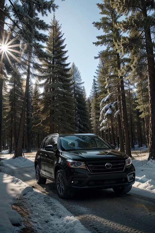 A black car in a winter coniferous forest on a sunny clear day standing on the side of the highway