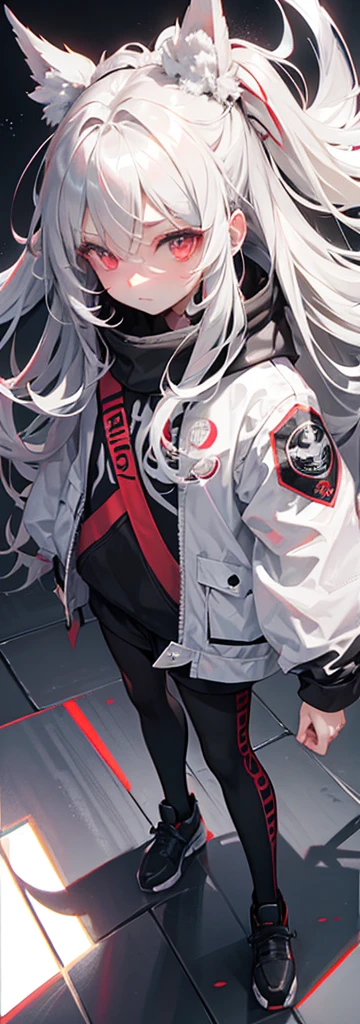 Gray silver long-haired，red eyes, fully body photo，Nice face