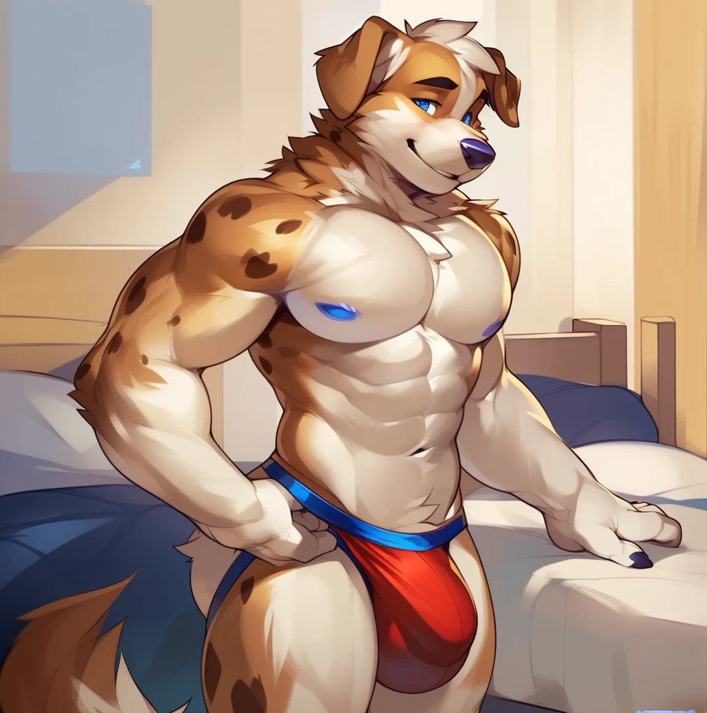 Solo, male (((retriever, collie, blue eyes, blue iris, black pupils, athletic, big pecs, abs, folded ears, white body, white fur, brown ears, mostly brown ears, brown spots on legs, white abdomen, white face, white arms, thin waist, mostly white fur, black jockstrap, big bulge))) standing, bedroom, flustered expression, full body, perfect anatomy, by darkgem, by mystikfox61, by glitter trap boy