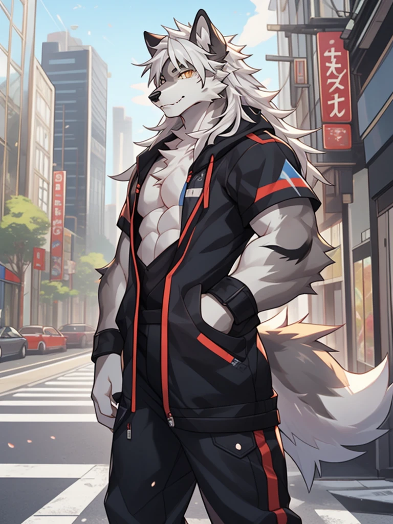 gray wolf,long white hair,City,golden pupils,Handsome,Have a better figure,Say hello by chance,Cai Xukun's