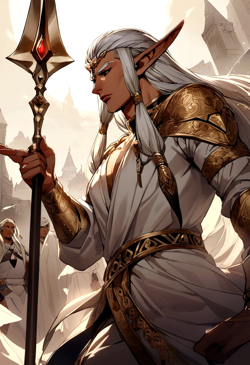 a palandin warrior with light magic MAN with a spear in his hand with his race being elf