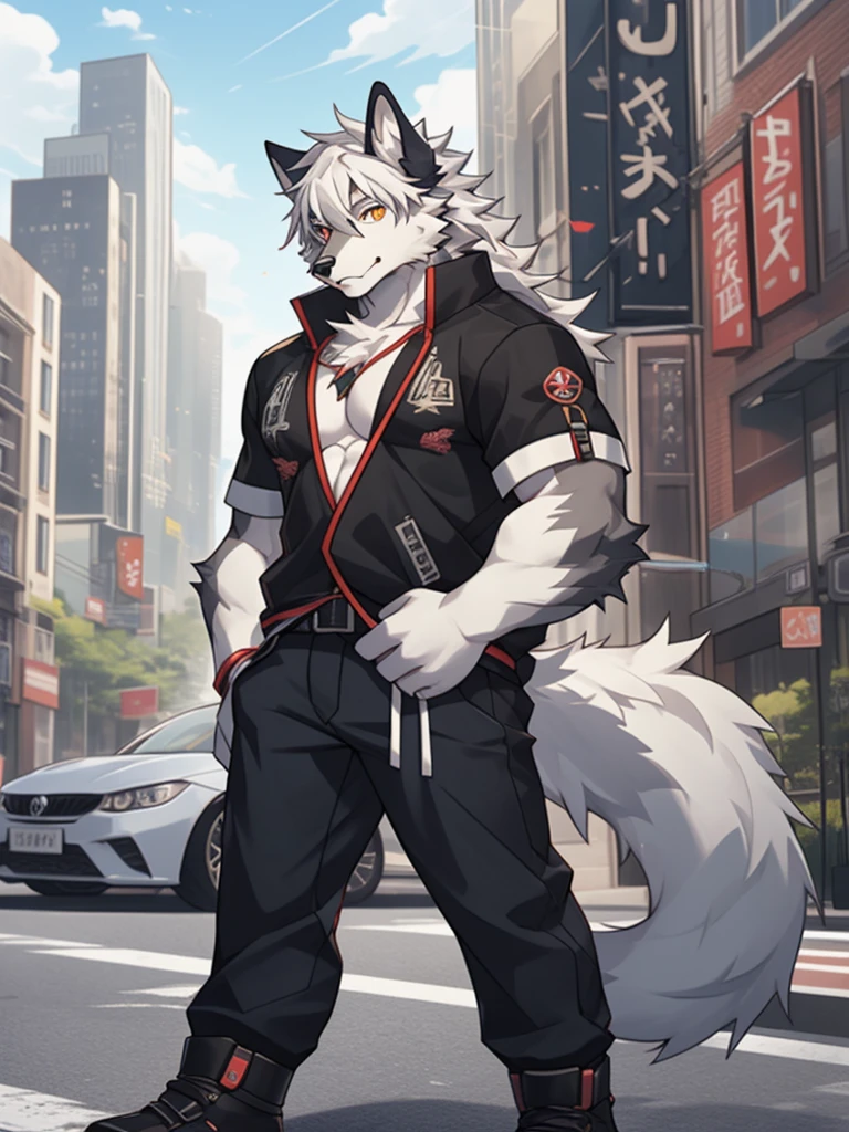 gray wolf，long white hair，City，golden pupils，Handsome，Have a better figure，Say hello by chance，Cai Xukun's
