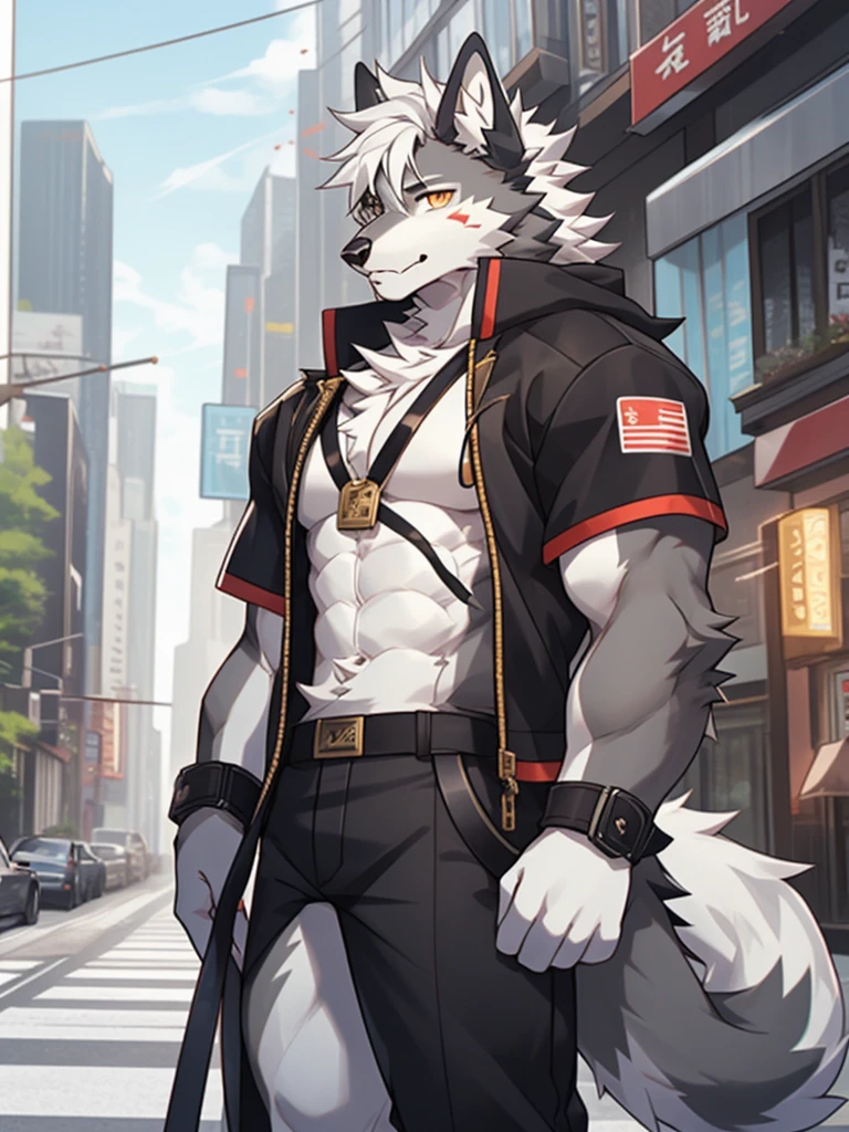 gray wolf，long white hair，City，golden pupils，Handsome，Have a better figure，Say hello by chance，Cai Xukun's
