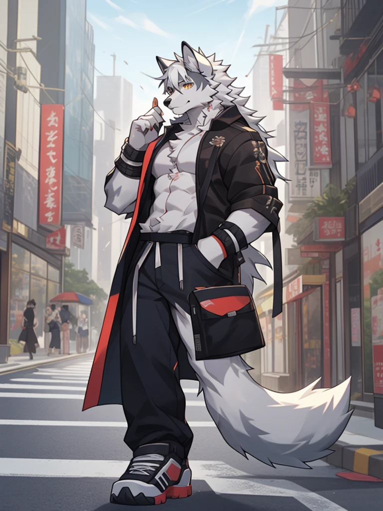 gray wolf,long white hair,City,golden pupils,Handsome,Have a better figure,Say hello by chance,Cai Xukun's