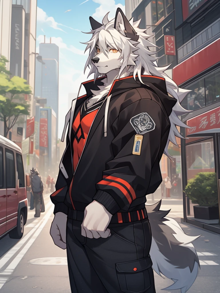 gray wolf,long white hair,City,golden pupils,Handsome,Have a better figure,Say hello by chance,Cai Xukun's