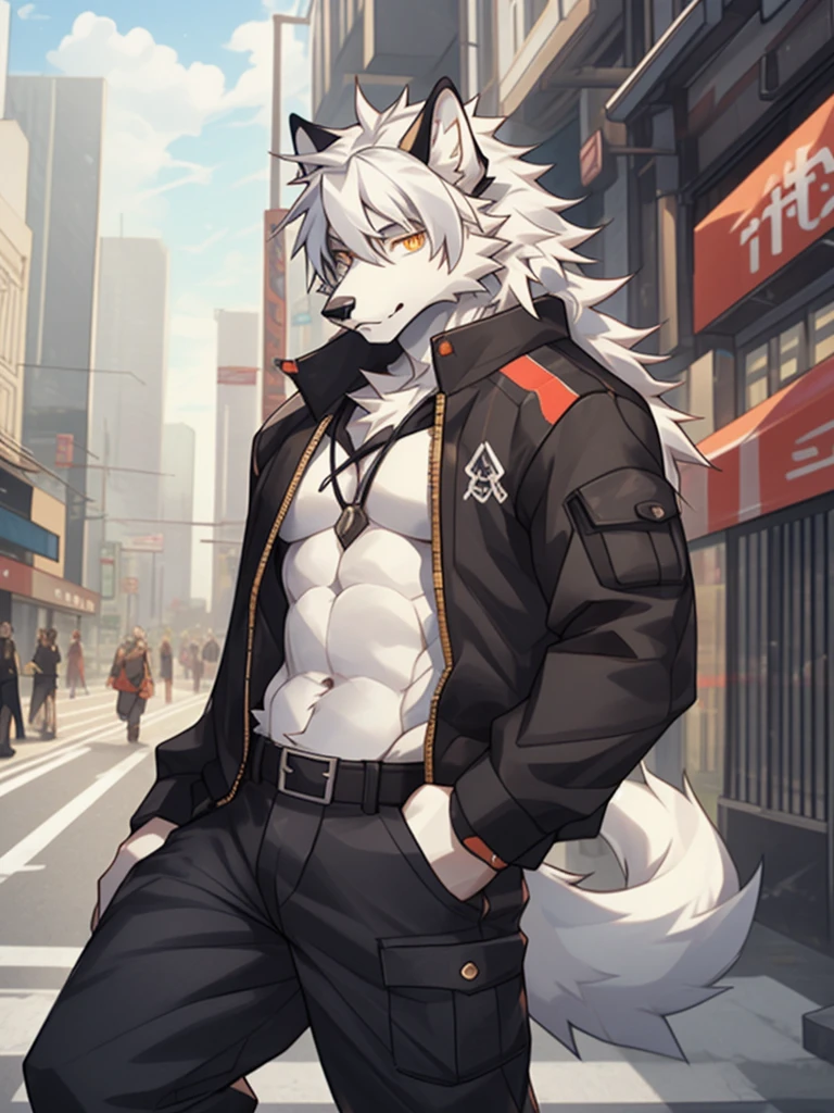 gray wolf，long white hair，City，golden pupils，Handsome，Have a better figure，Say hello by chance，Cai Xukun's