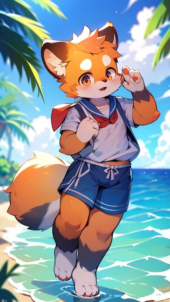 Red Panda Uncle,Ocean,Sailor suit