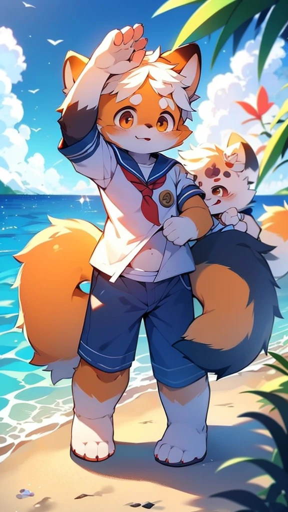 Red Panda Uncle,Ocean,Sailor suit