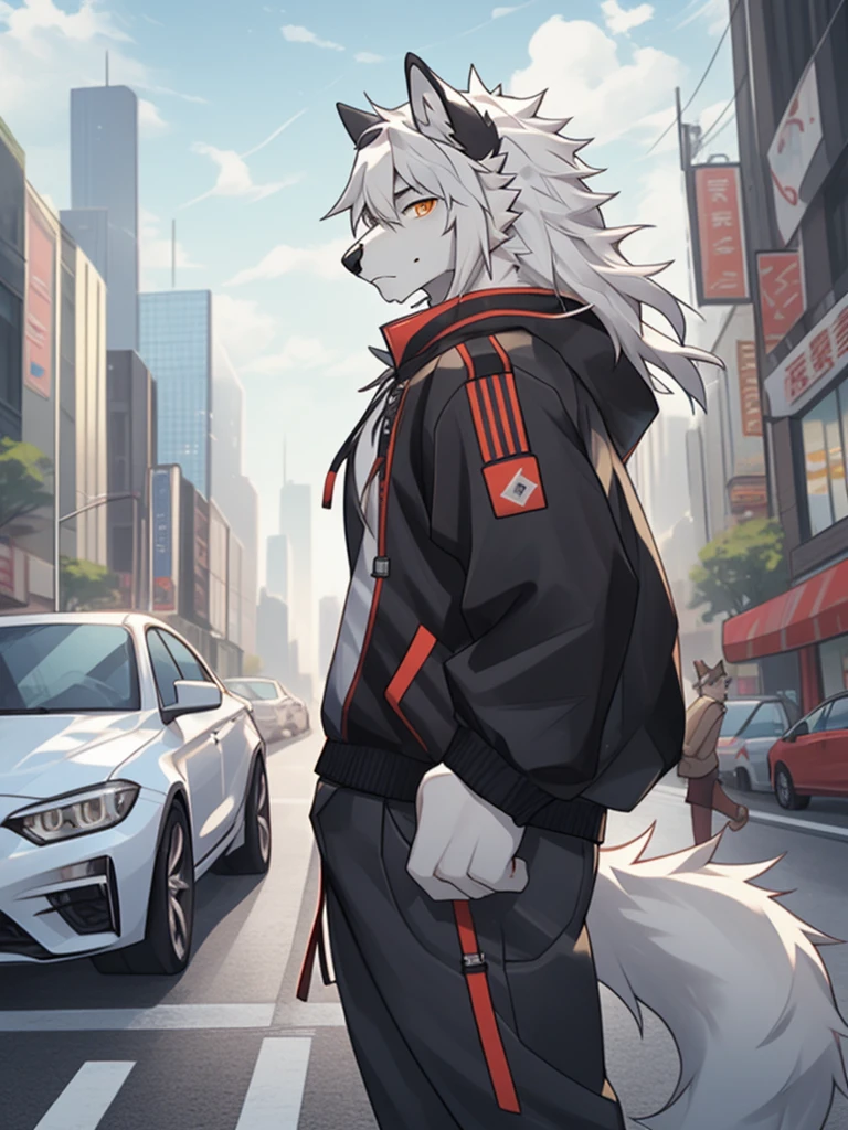 gray wolf,long white hair,City,golden pupils,Handsome,Have a better figure,Say hello by chance,Cai Xukun's