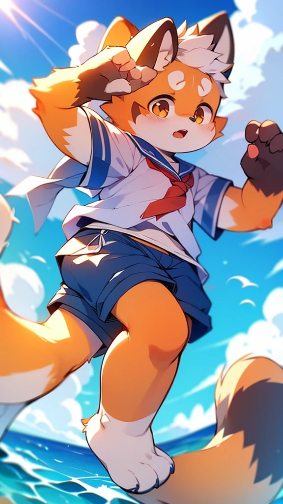Red Panda Uncle,Ocean,Sailor suit,