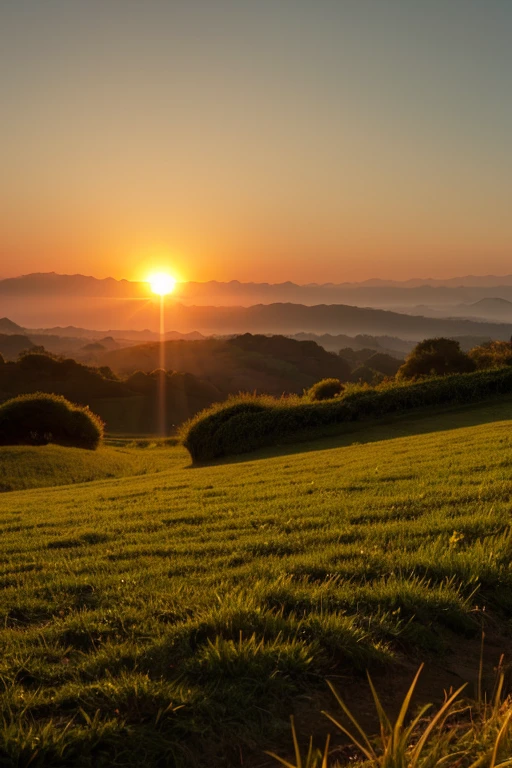Sun rising landscape: In the bright morning scenery、An image of the sun rising。