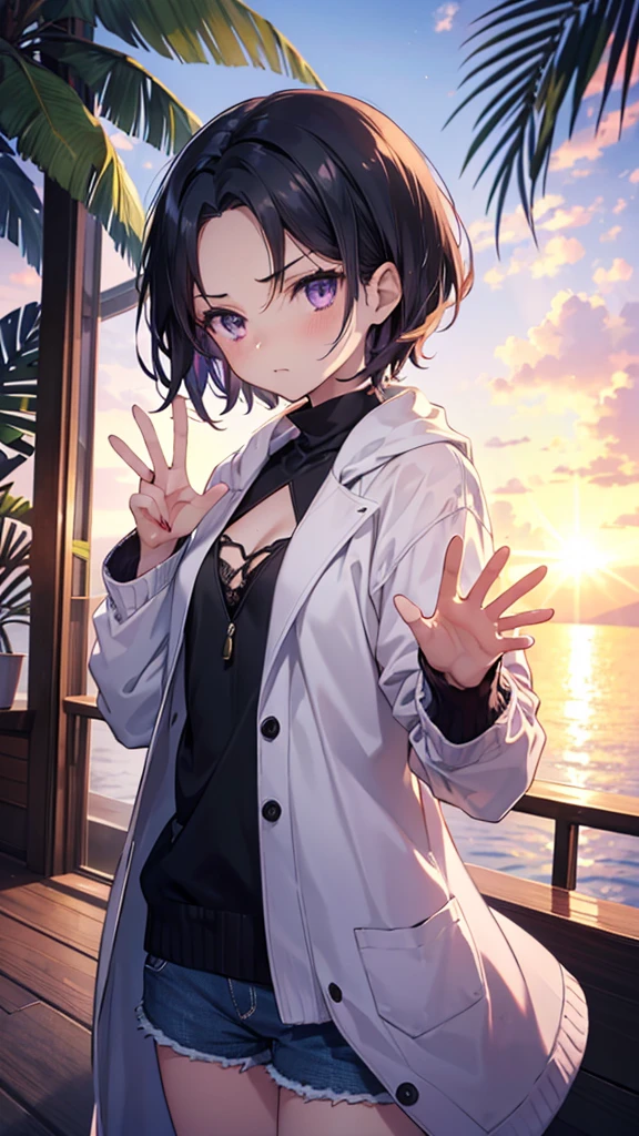 ((masterpiece)), (anime:1.3), ((Highest quality)), (Super detailed:1.2), (High resolution:1.3), (Professional photography:1.2), (15 years old), (One girl), Cute young girl, From above, break, , Glare、Angry,、Cleavage、 Short Hair、(Beautiful purple eyes:1.3), (Sunburn), (Take off your long coat), Bikini Tops, Flat Chest, The body is slim, (Forehead), Disheveled Hair, (Short Hair), ((Beautiful black hair)), Wear a long cardigan, Shorts, break, ((Highest quality)), (Hand waving pose), (In tropical countries), (Sharp focus), (Perfect light),