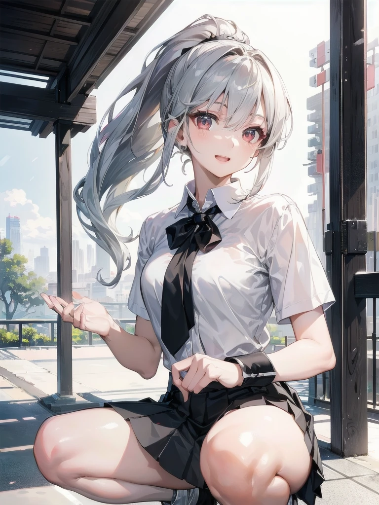 (masterpiece:1.3, top-quality, ultra high res, ultra detailed), (realistic, photorealistic:1.4), beautiful illustration, perfect lighting, colorful, depth of fields,
beautiful detailed hair, beautiful detailed face, beautiful detailed eyes, beautiful clavicle, beautiful body, beautiful chest, beautiful thigh, beautiful legs, beautiful fingers,
looking at viewer, 1 girl, japanese, high school girl, perfect face, (perfect anatomy, anatomically correct), cute and symmetrical face, babyface, , shiny skin,
(long hair:1.7, ponytail:1.6, silver hair), hair between eyes, dark red eyes, long eye lasher, (medium breasts), slender,
((collared short sleeve shirt, black pleated skirt, gray tie)),
(beautiful scenery), evening, (park, cityscape in the distance), squatting, , (lovely smile, upper eyes, open mouth),
