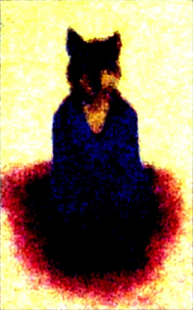 velues,kimono,anthropo,
wolves,wolves ears,wolves tail,
brown fur,blue colored eyes,
rug,
looking rug,gazing at viewer, licking your lips, pretentious smile,
shorts,
Kneeling,
patas,pink patas,
on the bed,