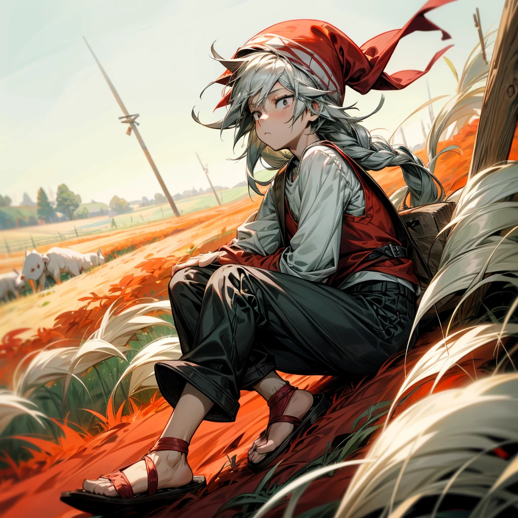 1little boy, Full body version, 1character, black eyes color, milk skin, long hairstyle, monolod eyes type, silver colour hair, Farmer villager clothing style, red color clothing, black pants, white scraf, Ancient roman sandals, vest, green Beanie, Grassroots background in field villager, motion blur
