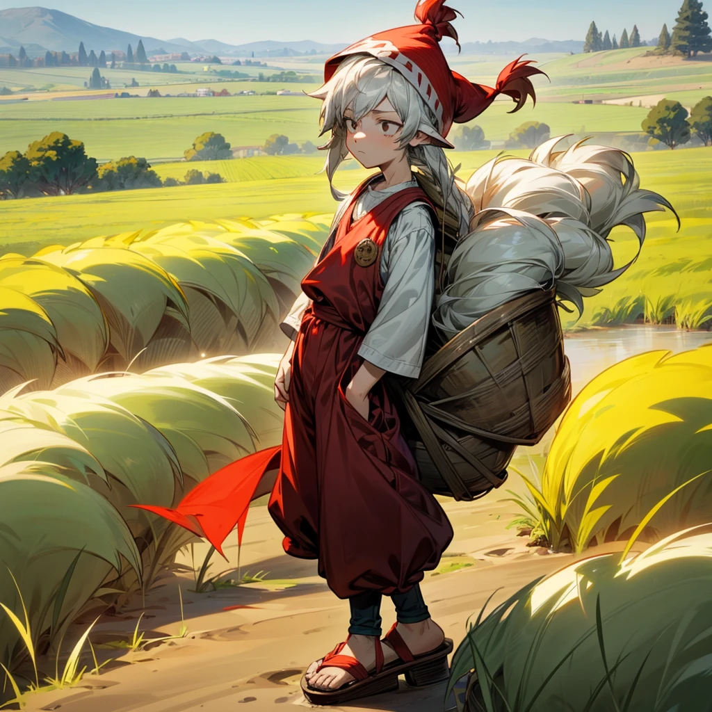 1little boy, Full body version, 1character, black eyes color, milk skin, long hairstyle, sad eyes type, silver colour hair, Farmer villager clothing style, red color clothing, black pants, white scraf, Ancient roman sandals, vest, green Beanie, Grassroots background in field villager, motion blur