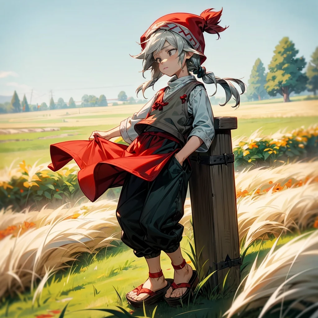1little boy, Full body version, 1character, black eyes color, milk skin, long hairstyle, sad eyes type, silver colour hair, Farmer villager clothing style, red color clothing, black pants, white scraf, Ancient roman sandals, vest, green Beanie, Grassroots background in field villager, motion blur 