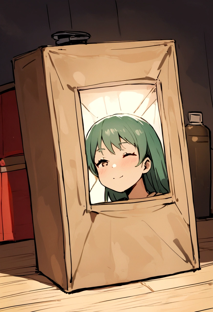 GIVE ME A DRAWING OF THE BOX AND THE SHAMPOO INSIDE,