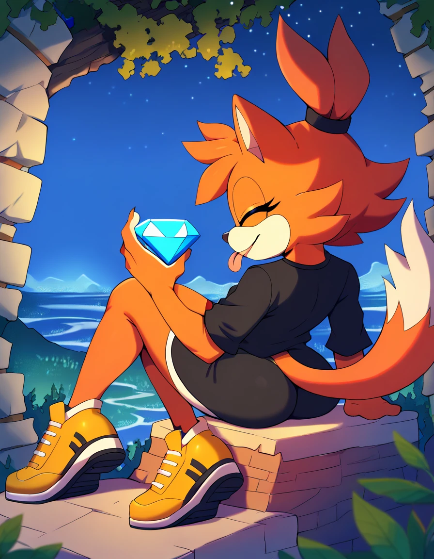 score_9, score_8_up, score_7_up, detailed background, 1girl, solo, mobian cat, orange body fur, medium hair, orange hair, happy, wave, blue chaos emerald beside leg, closed eyes, sitting, huge butt, black shirt, yellow shoes, outdoors, night, cliff, rear-view, sticking out tongue