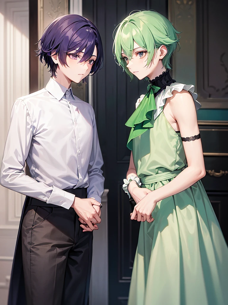 There are two elegant boys, the first boy has green hair and black and dark green clothes. The second boy has purple hair with white clothes..