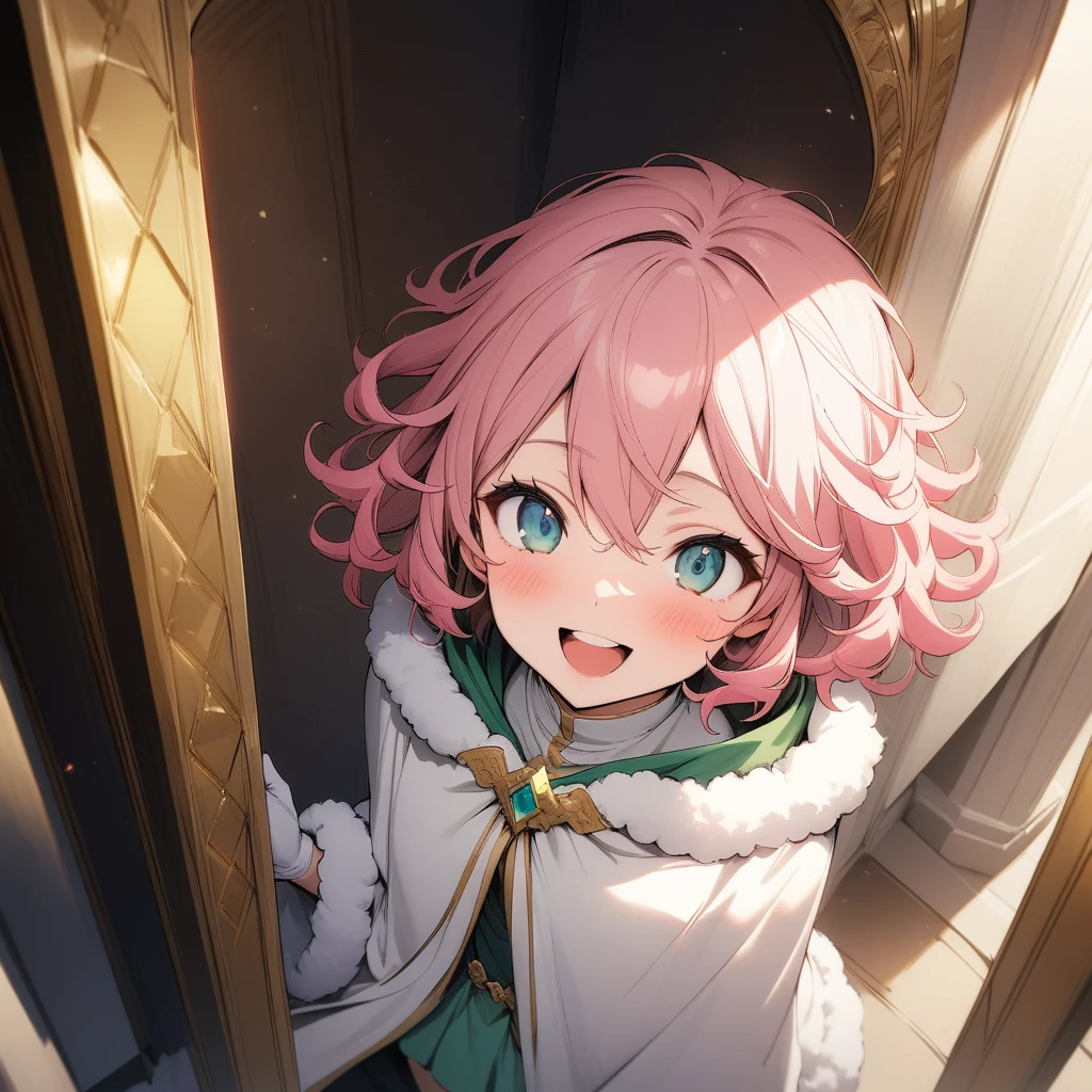 (masterpiece),(best quality),very aesthetic,(ultra-detailed),(illustration),nsfw,1girl,18yo,slender,pink hair,curly hair,fluffy hair,short hair,disheveled hair,aqua blue eyes,enjoyable,smile,open mouth,happy,humble,white wizard robe,white glove,light green fluffy skirt,Cloak fastened with gold ornamental buckle in front,white wizard cloak with gold trimmed,standing,Standing next to the throne in the castle,Fluffy gray boots,cowboy shot,from above