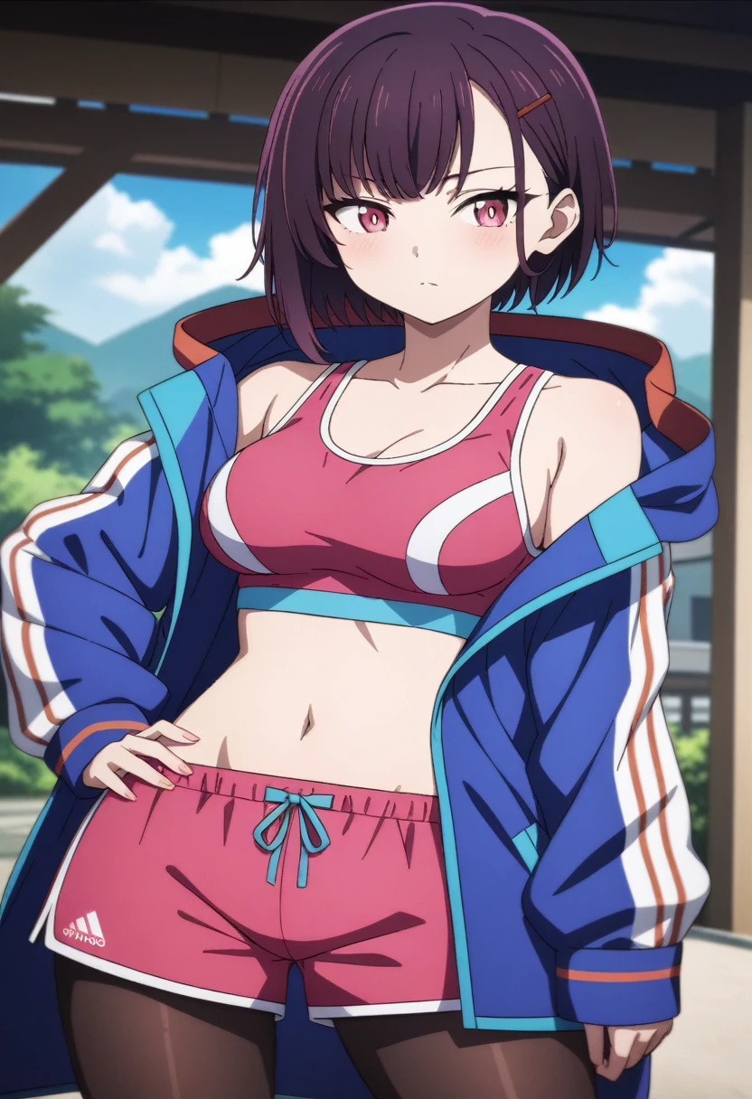 show off nipples,(masterpiece, best quality, very aesthetic, ultra detailed), intricate details,
1girl, shizukazom100, short hair, dark purple hair, bangs, hair ornament, hairclip, pink eyes, white pupils, large breasts, collarbone, blue jacket, sports bra, navel, midriff, pink shorts, pantyhose, hand on own hip, outdoors, 