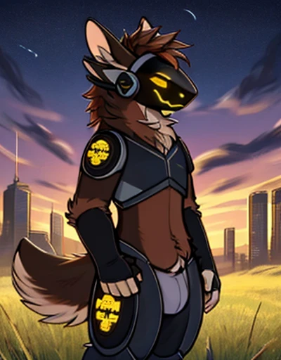 (very detailed illustration: 1.2), best quality, masterpiece, solo, natural lighting, male protogen, (protogen face: 1.1), (protogen visor: 1.1), brown tail, torso, yellow eyes, dark brown fur, brown fur all over the body, dark brown hair, brown fur, full body ,he is standing, he is in a grass field, behind him in the distance there is a large technologically advanced city, it is night, the city emits a great light, landscape