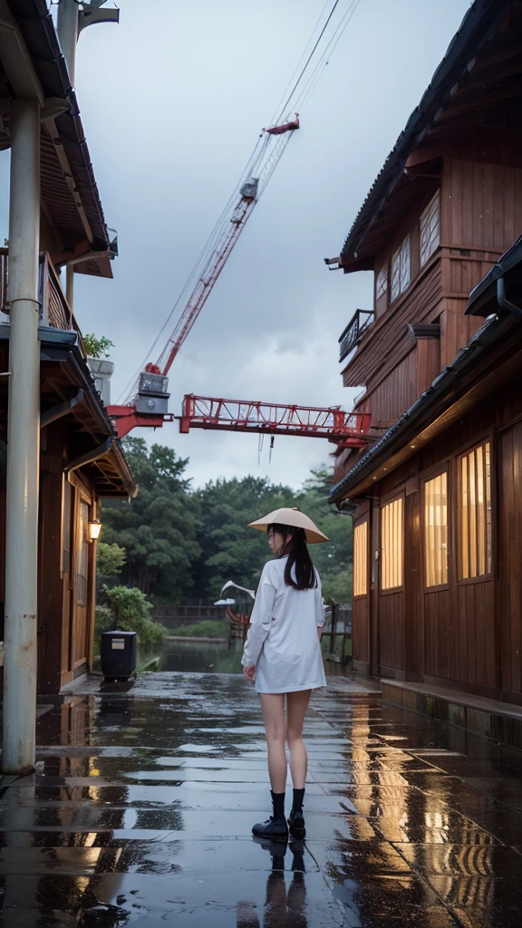 ((crane))、bird、Rainy Sky、1girl,