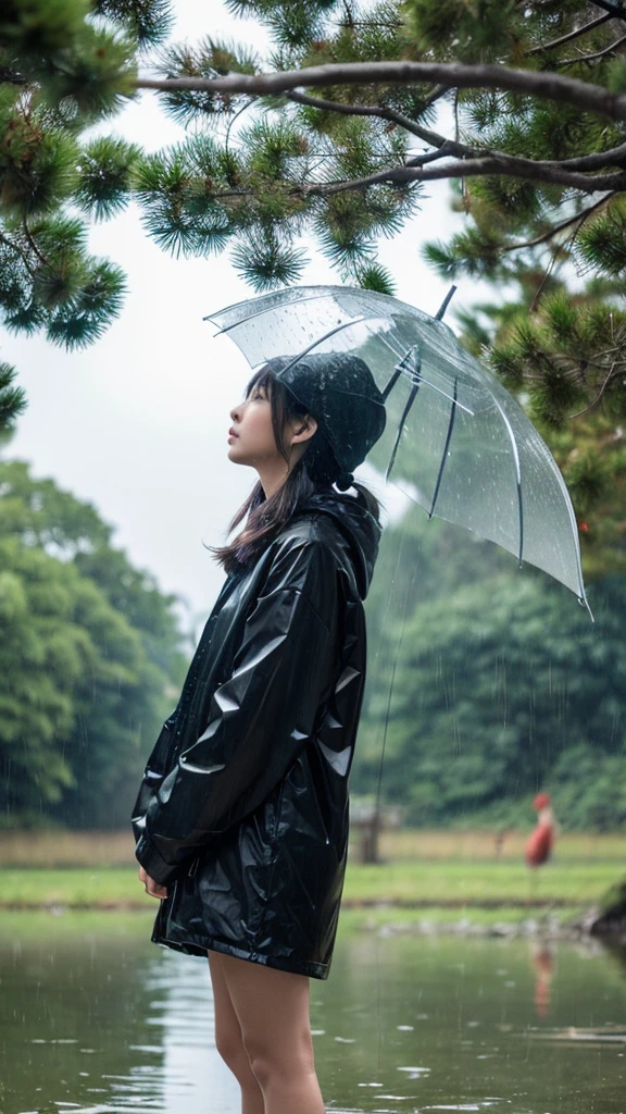 ((crane))、bird、Rainy Sky、1girl,from below