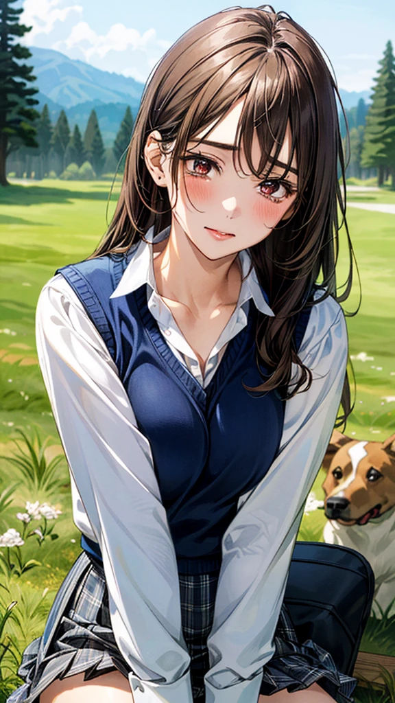 (masterpiece:1.3, top-quality), ultra high res, ultra detailed, (realistic, photorealistic:1.4), beautiful illustration, perfect lighting, colorful, depth of fields, 
looking at viewer, (face focus, upper body), 1 girl, solo, hight school girl, gravure model, (large breasts:0.8, large ass, seductive thighs, skindentation),
(long hair:1.2, straight hair:1.2, (saddle-brown colored) hair), swept bangs, (brown) eyes, drooping eyes, big eyes, shiny skin, slender, 
beautiful hair, beautiful face, extremely detailed face, beautiful detailed eyes, beautiful clavicle, beautiful body, beautiful chest, beautiful thigh, beautiful legs, beautiful fingers, 
(detailed cloth texture, (navy knit vest), grey plaid tie, collared long sleeve white shirt, grey plaid pleated skirt), black socks, white panties, 
(beautiful scenery), morning, In a grassy meadow, a girl is on all fours and a dog is hugging her from behind, holding her back and holding her close at the waist.
Her face is bright red and flushed, her eyes are closed, her mouth is open and she cries out.