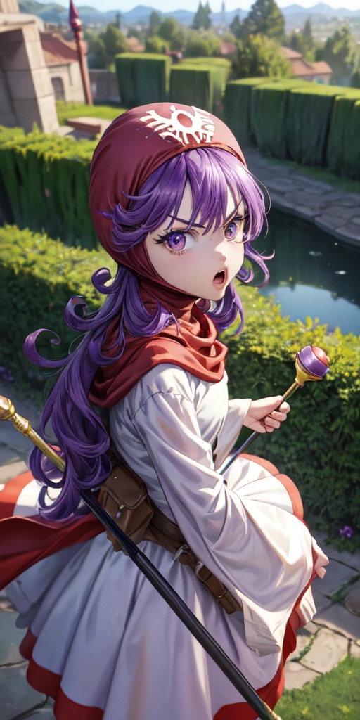 masterpiece, best quality, 4k, 8k, dqPom, red hood, purple hair, robe, cowboy shot, standing, holding staff, sky, garden, looking at viewer, from above, angry 