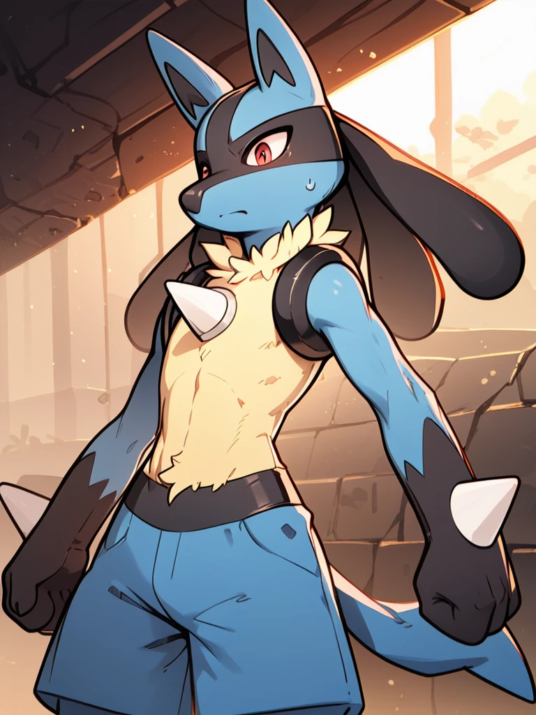 score_9,score_8_Excellent,score_7_Excellent,score_6_Excellent,score_5_Excellent,score_4_Excellent,Portraiture,wild,whole body,wonderful, Lucario,