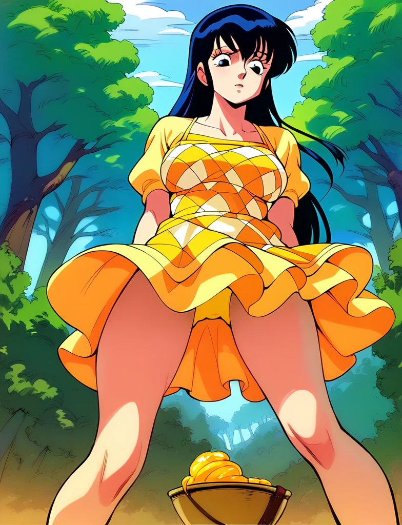 Kyoko,score_9,score_8_superior,score_7_superior,sauce_anime,One girl,alone,View your viewers,Spread your legs,Removed panties,in the forest,downpour,soaked,YELLOW One Piece,ORANGE Checkered dress,length_skirt,YELLOW skirt,cowboy_shot,Front view,Are standing,Sad face,:d,arms_behind_return,