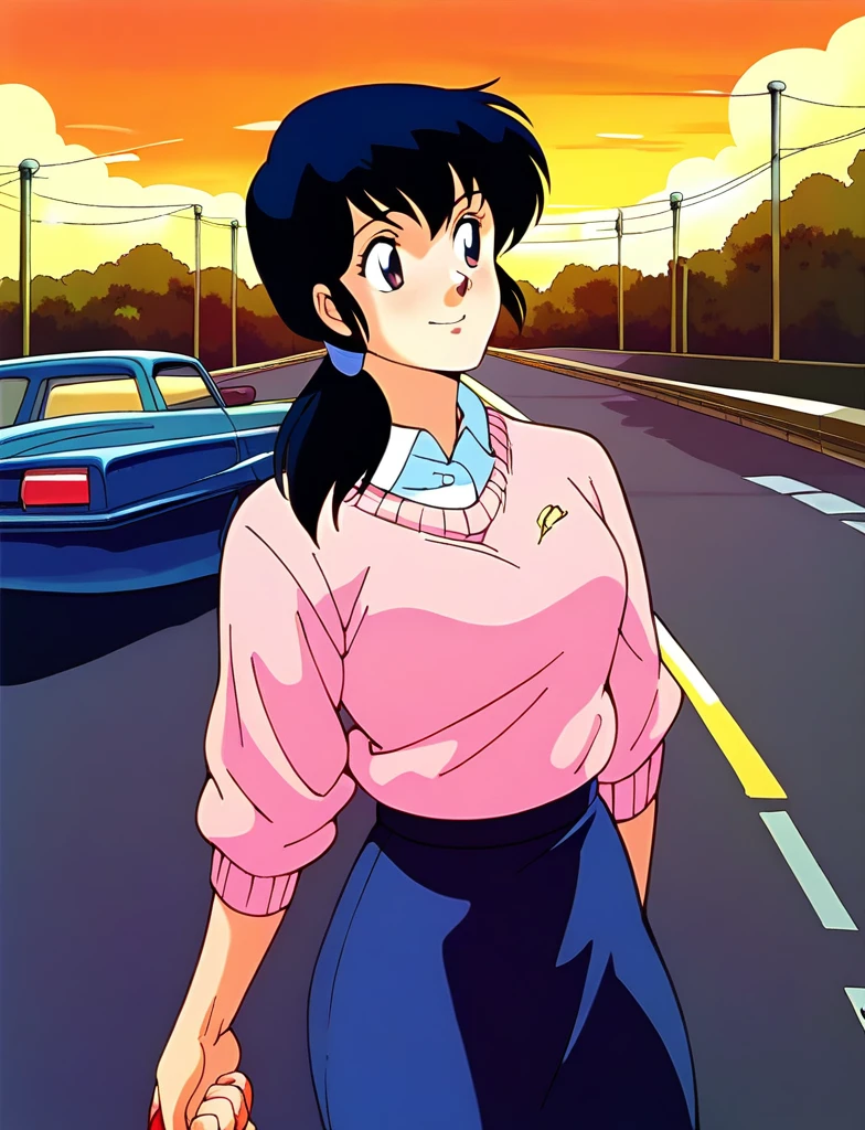 Kyoko,score_9,score_8_superior,score_7_superior,sauce_anime,One girl,alone,View your viewers,city,Streetscape of the 1980s,asphalt paved,paved,lamp post,force_line,Orange sky,evening,Pink Sweater,White collared shirt,length_skirt,blue skirt,cowboy_shot,Front view,Are standing,smile,:d,arms_behind_return,kneel、Grasping the penis、