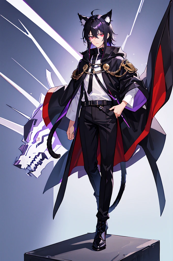 Black Hair少年,Around fifteen years old,Black Hair,Cat ear,Cat tail,Purple cloak,Heterochromia,Red left eye,Blue right eye,White shirt,Purple cloak,Standing,whole body,For the audience,White background,masterpiece,HD,4K,Detailed facial depiction,Black trousers,Black boots,Black Hair,White background(1:5)