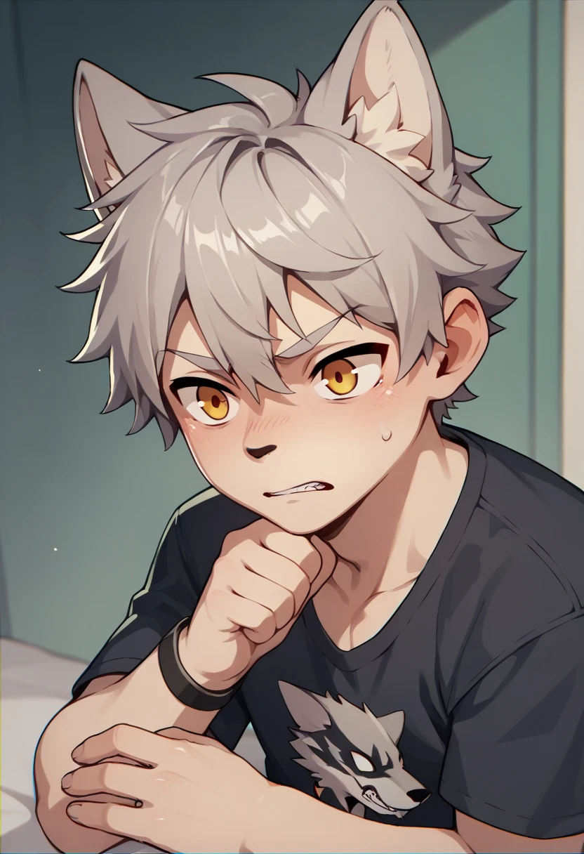 male，juvenile，short hair，Wolf，indifferent