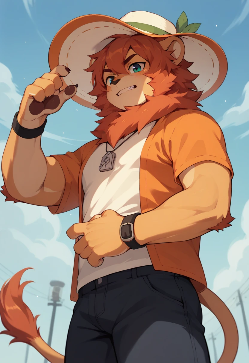 I was wrong, Orange Lion Boy,, Wide-brimmed hat,, Dynamic Angle, Tail, Animal ears