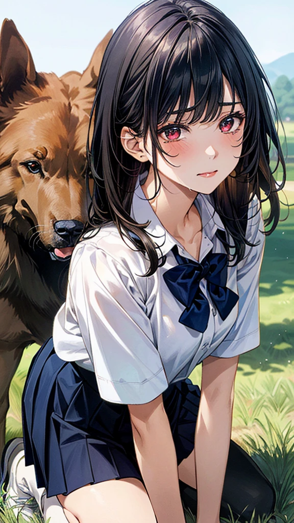 (masterpiece:1.2, top-quality), (realistic, photorealistic:1.4), beautiful illustration, (natural side lighting, movie lighting), 
looking at viewer, (extreme close-up, from side), 1 girl, japanese, high school girl, perfect face, (perfect anatomy), cute and symmetrical face, shiny skin, 
(middle hair, straight hair, black hair), asymmetrical bangs, dark red eyes, long eye lasher, (medium breasts, seductive thighs, big ass), 
beautiful hair, beautiful face, beautiful detailed eyes, beautiful clavicle, beautiful body, beautiful chest, beautiful thigh, beautiful legs, 
((insanely detailed clothes, white collared shirt, navy pleated skirt, dark red bow tie)), navy sIn a grassy meadow, a girl is on all fours, and a large dog is holding her from behind, holding her back, and mating with her in the doggy position.
Her face is bright red and flushed, her eyes are closed, her mouth is open and she cries out.chool 
(beautiful scenery), depth of field, evening, (