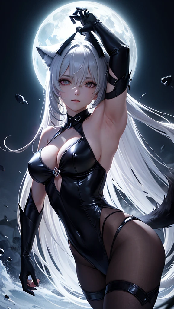 Darkness, wolf,