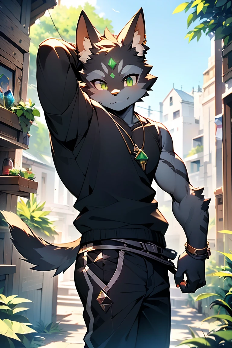 (Cat Orc),(Gray fur),(Golden Eyes),(Shota),(male),(arms:In the right hand is a huge gear-shaped key.),(The key is inlaid with an emerald gem that glows green.),Topless,Abdominal muscles,(Crows fly),(casual pants),(earrings),rivet,Ambient Light,Side Light,