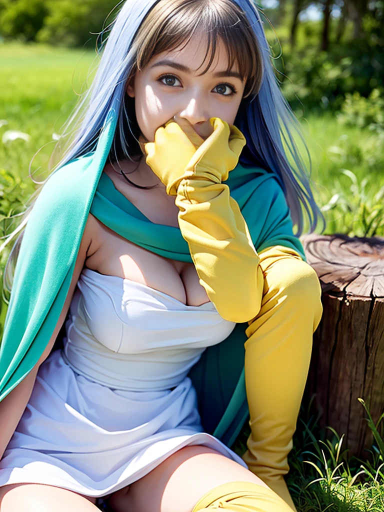 sage_(dq3), 1girl, 
(the vast grasslands), 
(sitting on a stump), (spread legs show panties toward for the viewer), 
long hair, blue hair, normal breast, cleavage, bare shoulders, 
circlet, (yellow gloves:1.6), (white dress:1.6), (cape:1.6), (knee-high boots:1.6), 
(holding a wooden long staff), 
(cowboy shot), 
(white frilled panties), 
detail face, (photorealistic:1.4), ultra high res, best quality, ((detailed facial features)), 8k resolution,
