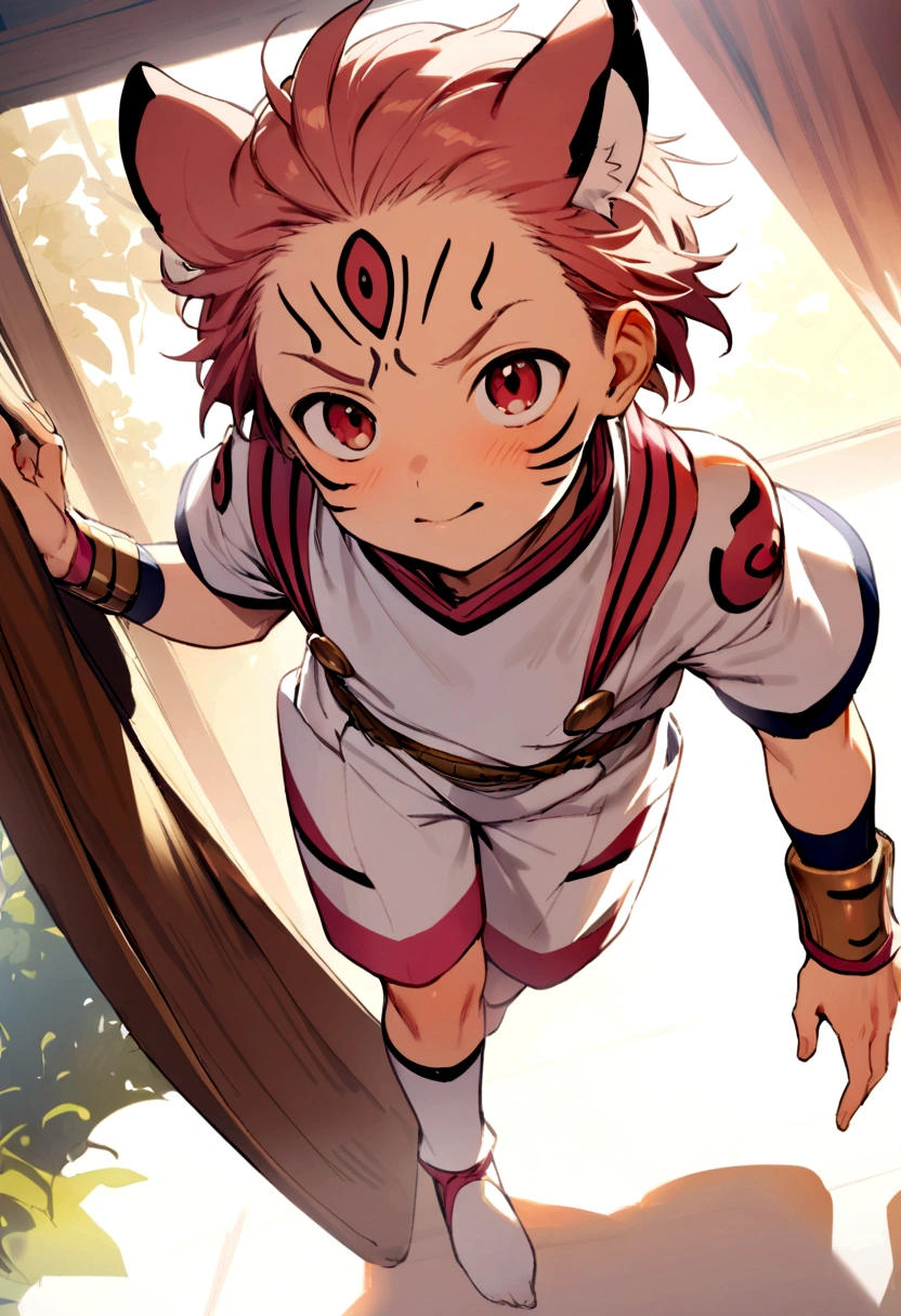 1 boy, male focus, sukuna, masterpiece, rose hair