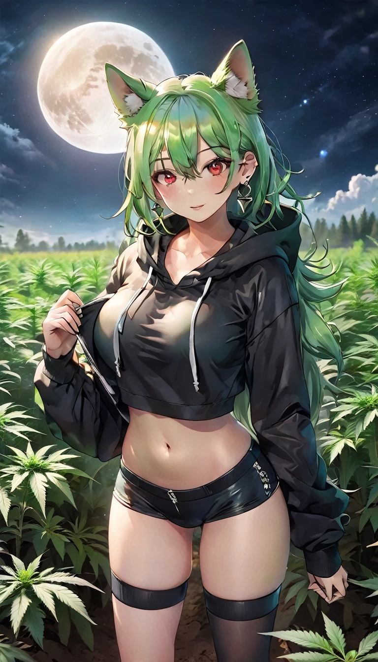 Croped, cleavage, slim waist, cropped hoodie underboob, cropped hoodieunderboobhoodie, 1girl, 2 wolf ears, wolf tail, marijuana crop hoodie, crop shorts, marijuana hoodie, spiky hair, spiky fur, green hair, red eyes,marijuana field, tight clothes, perfect eyes, perfect hands, clear resolution, full body, cleavage skin, marijuana plants, open hoodie, marijuana field, black thigh high socks, full body, earrings, 1girl, skirt,  cleavage, slim waist, cleavage, slim waist, hair pulled back, big breast, round butt, slim waist, best quality, thick thighs, 4k quality, night time, full moon