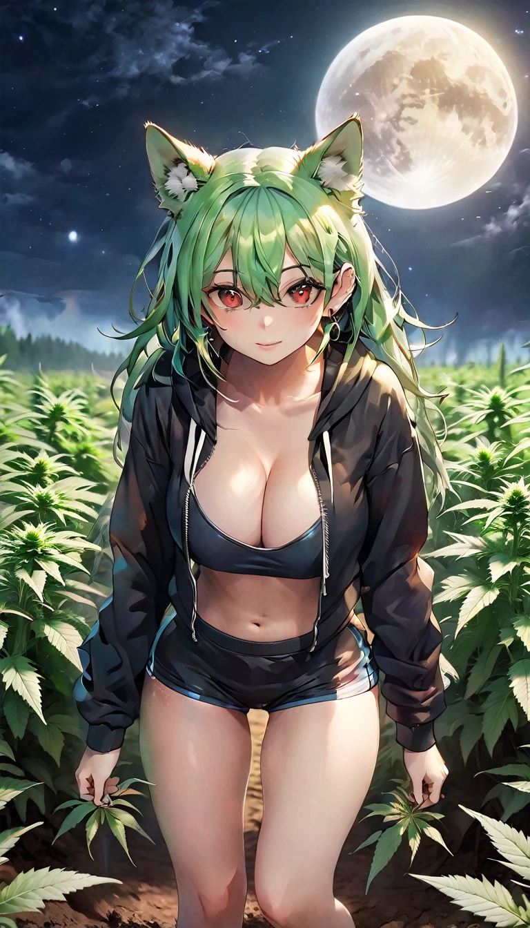 Croped, , slim waist, cropped hoodie underboob, cropped hoodieunderboobhoodie, 1girl, 2 wolf ears, wolf tail, marijuanodie, crop shorts, marijuana hoodie,ir, spiky fur, green hair, red eyes,marijuana field, tight clofect eyes, perfect hands, clear resolution, full body, cleavage skin, marijuana plants, ope, marijuana fik thigh high socks, full body, 1girl, skirt, cleavage, slim waist, cleavage, slim waist, hair pulled back,ast, round butt, slim est quality, thick thighs, 4k quality, night full moon