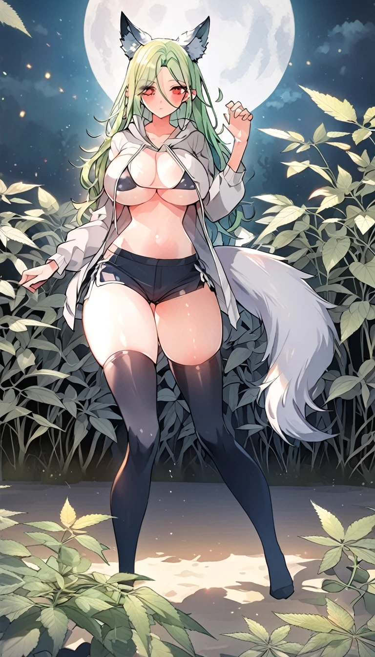 Croped, cleavage, slim waist, cropped hoodie underboob, cropped hoodieunderboobhoodie, 1girl, 2 wolf ears, wolf tail, marijuana crop hoodie, crop shorts, marijuana hoodie, spiky hair, spiky fur, green hair, red eyes,marijuana field, tight clothes, perfect eyes, perfect hands, clear resolution, full body, cleavage skin, marijuana plants, open hoodie, marijuana field, black thigh high socks, full body, earrings, 1girl, skirt,  cleavage, slim waist, cleavage, slim waist, hair pulled back, big breast, round butt, slim waist, best quality, thick thighs, 4k quality, night time, full moon