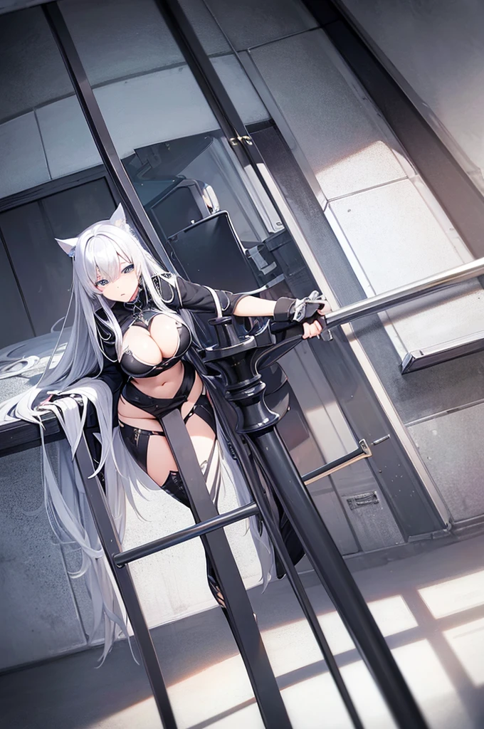 silver hair, blue eyes, cat ears, navel, cleavage, neat black uniform, long straight hair, sleepy expression, very large breasts, slightly approximate, leash