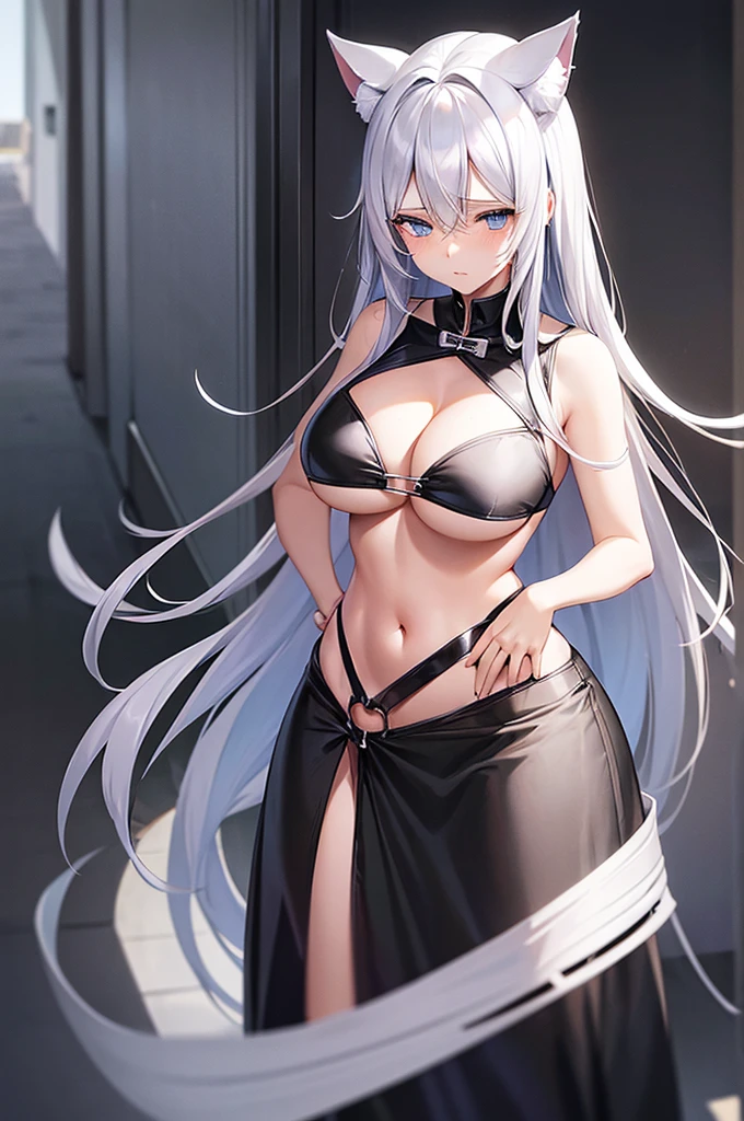 silver hair, blue eyes, cat ears, navel, cleavage, neat black uniform, long straight hair, sleepy expression, very large breasts, slightly approximate, leash