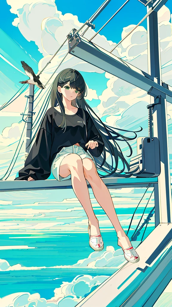 masterpiece, Exquisite detail,Highest quality, One girl, alone, handrail, cloud, 立ってNULLを見上げている,Long Hair, shoes, NULL, Long sleeve, sneakers, Power lines, White footwear, Black Hair, View your viewers, Electric pole, bangs, cloudy NULL, fish, bird, Green Eyes, Shorts, animal, Day, Black Shirt, barefoot