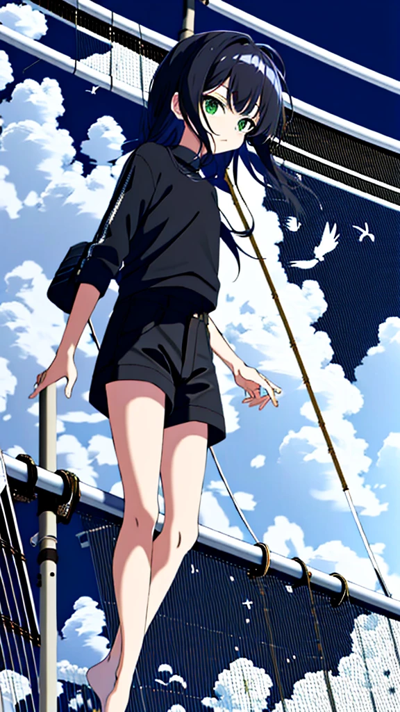 masterpiece, Exquisite detail,Highest quality, One girl, alone, handrail, cloud, 立ってNULLを見上げている,Long Hair, shoes, NULL, Long sleeve, sneakers, Power lines, White footwear, Black Hair, View your viewers, Electric pole, bangs, cloudy NULL, fish, bird, Green Eyes, Shorts, animal, Day, Black Shirt, barefoot