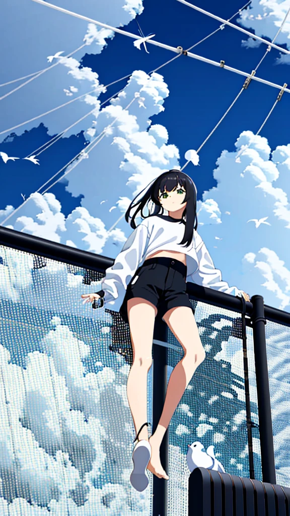 masterpiece, Exquisite detail,Highest quality, One girl, alone, handrail, cloud, 立ってNULLを見上げている,Long Hair, shoes, NULL, Long sleeve, sneakers, Power lines, White footwear, Black Hair, View your viewers, Electric pole, bangs, cloudy NULL, fish, bird, Green Eyes, Shorts, animal, Day, Black Shirt, barefoot